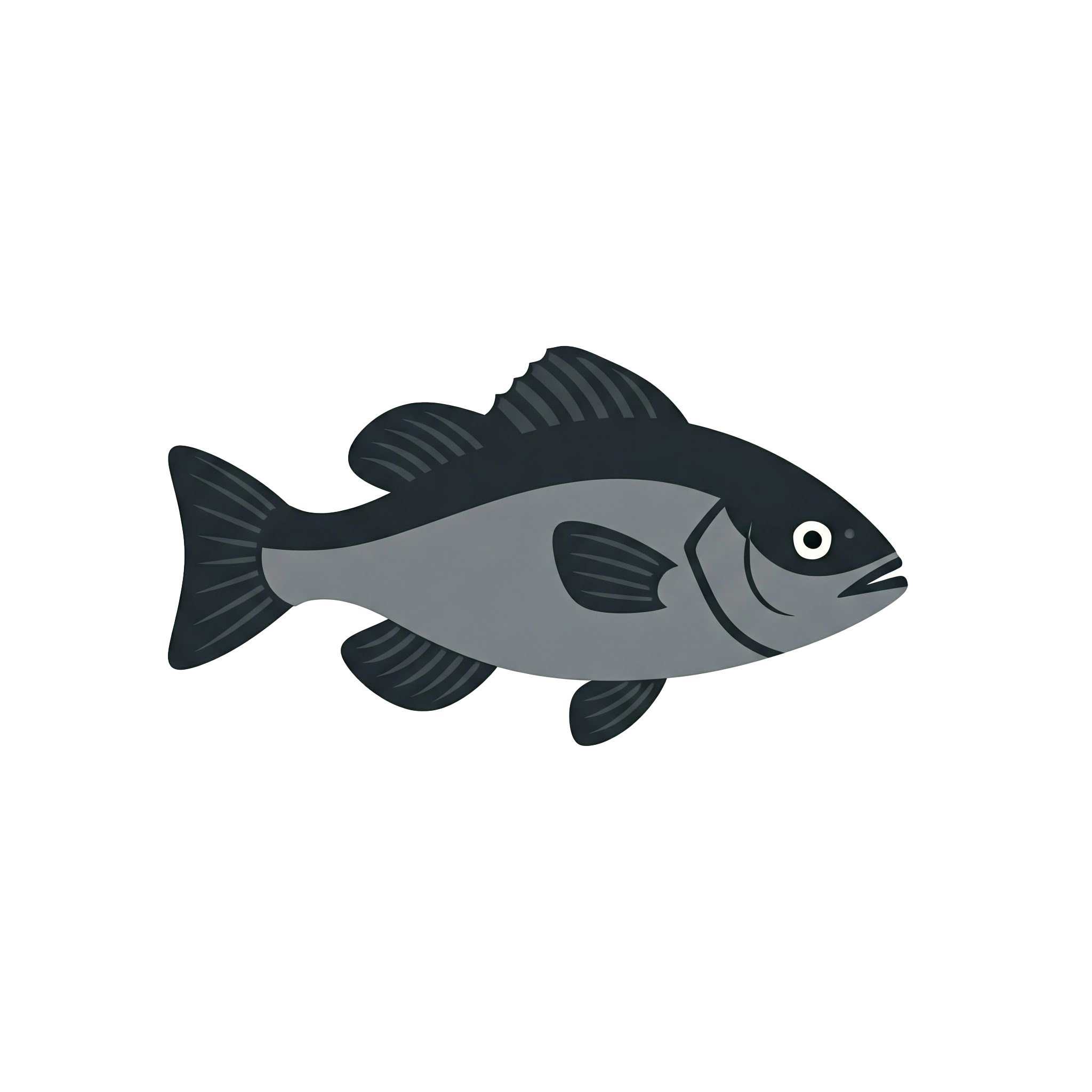 Fish 3