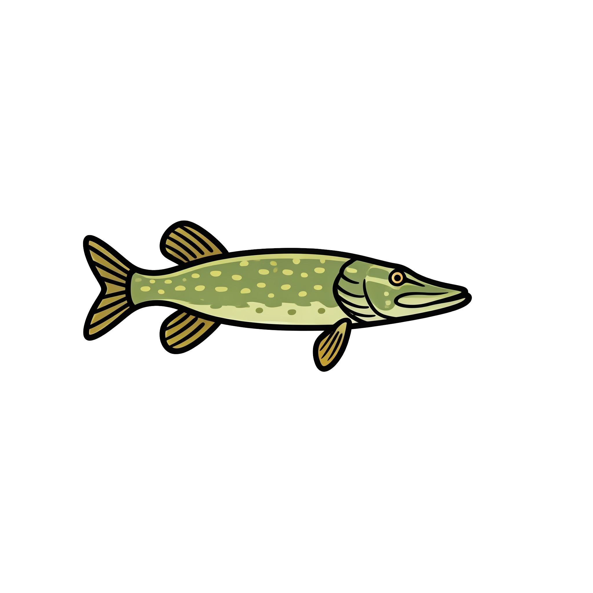 Fish 5